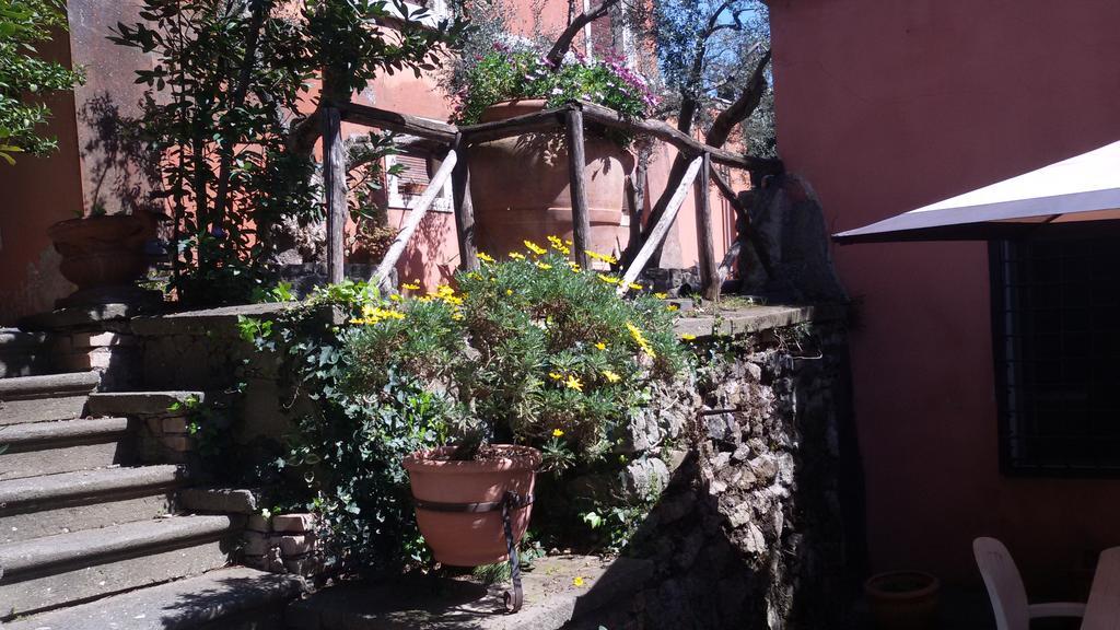 La Dolce Casetta Grottaferrata Exteriér fotografie