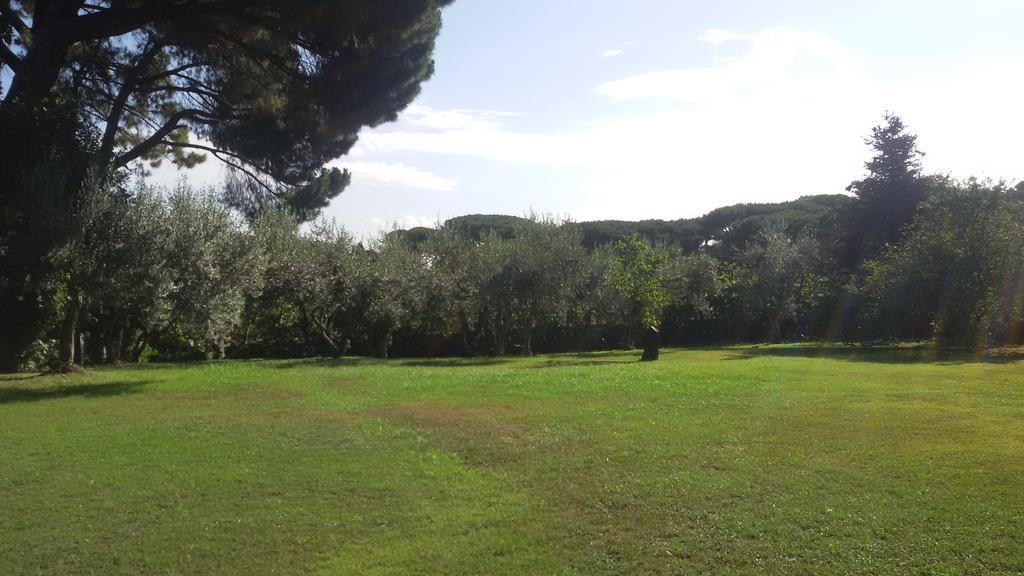 La Dolce Casetta Grottaferrata Exteriér fotografie