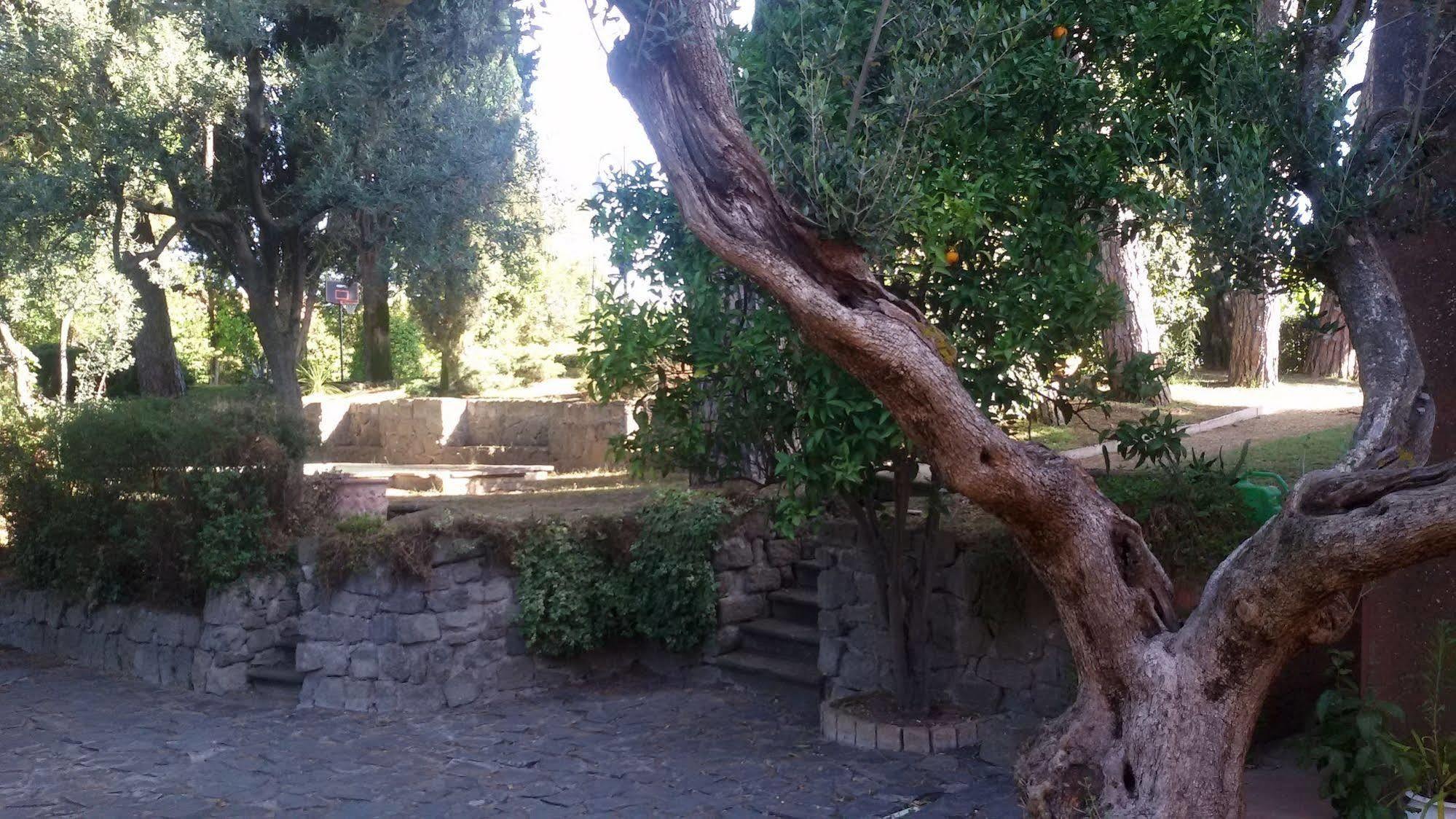 La Dolce Casetta Grottaferrata Exteriér fotografie
